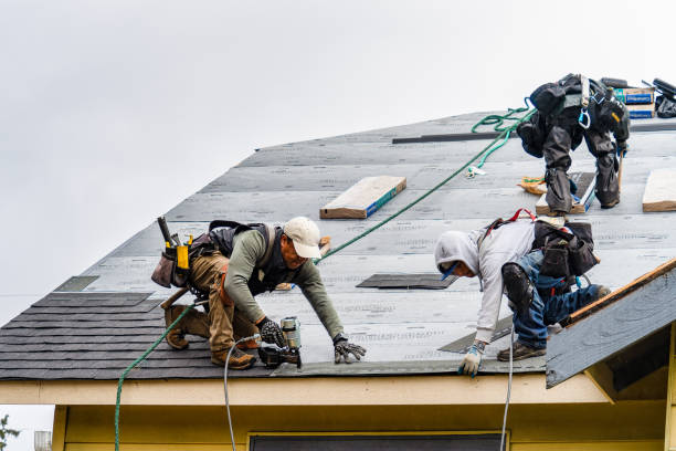 Professional Roofing technician working in Harrison, MI